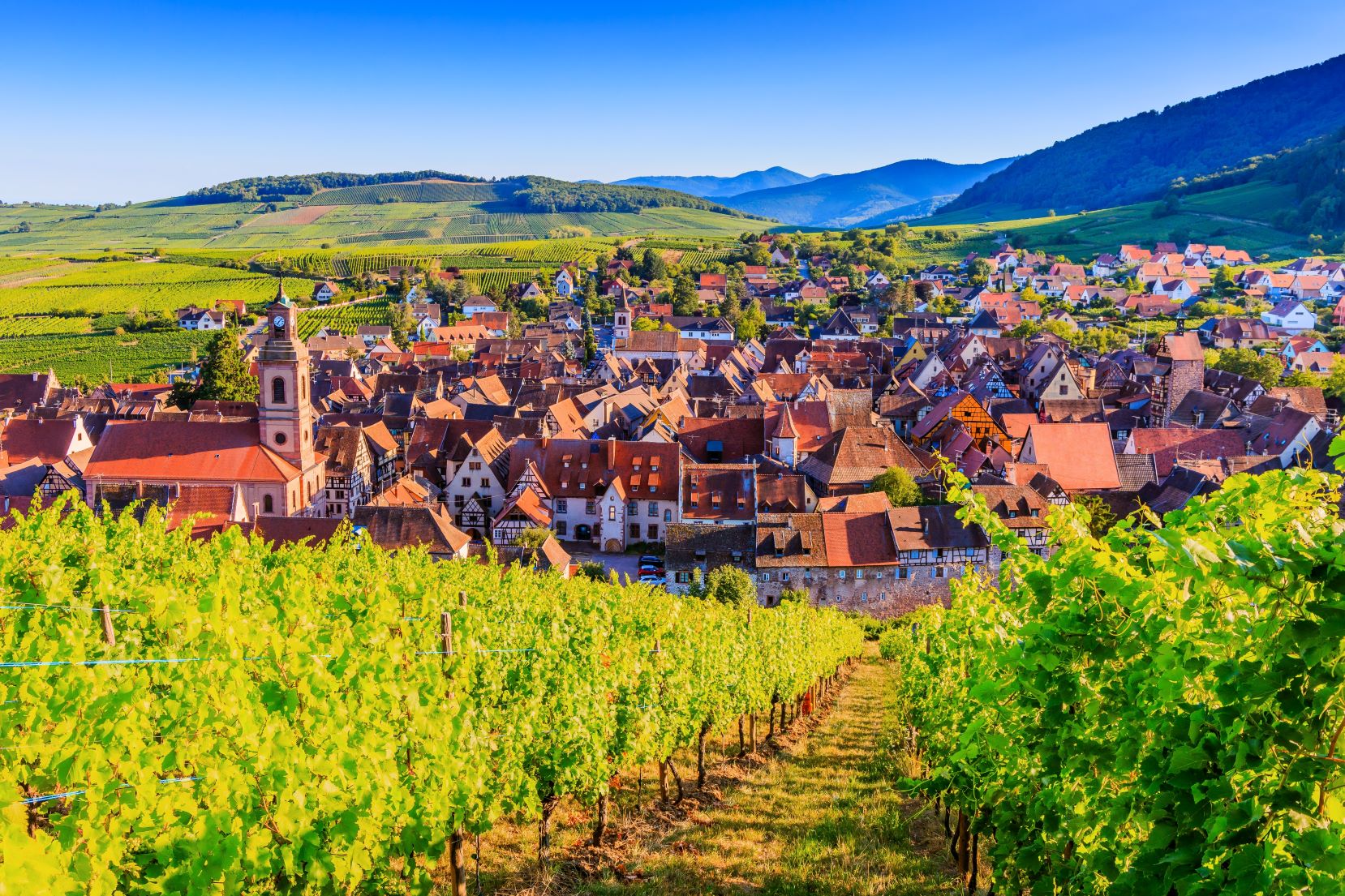 Vi over vinorten Riquewihr i Alsace